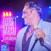 Siavash - Dooset Daram