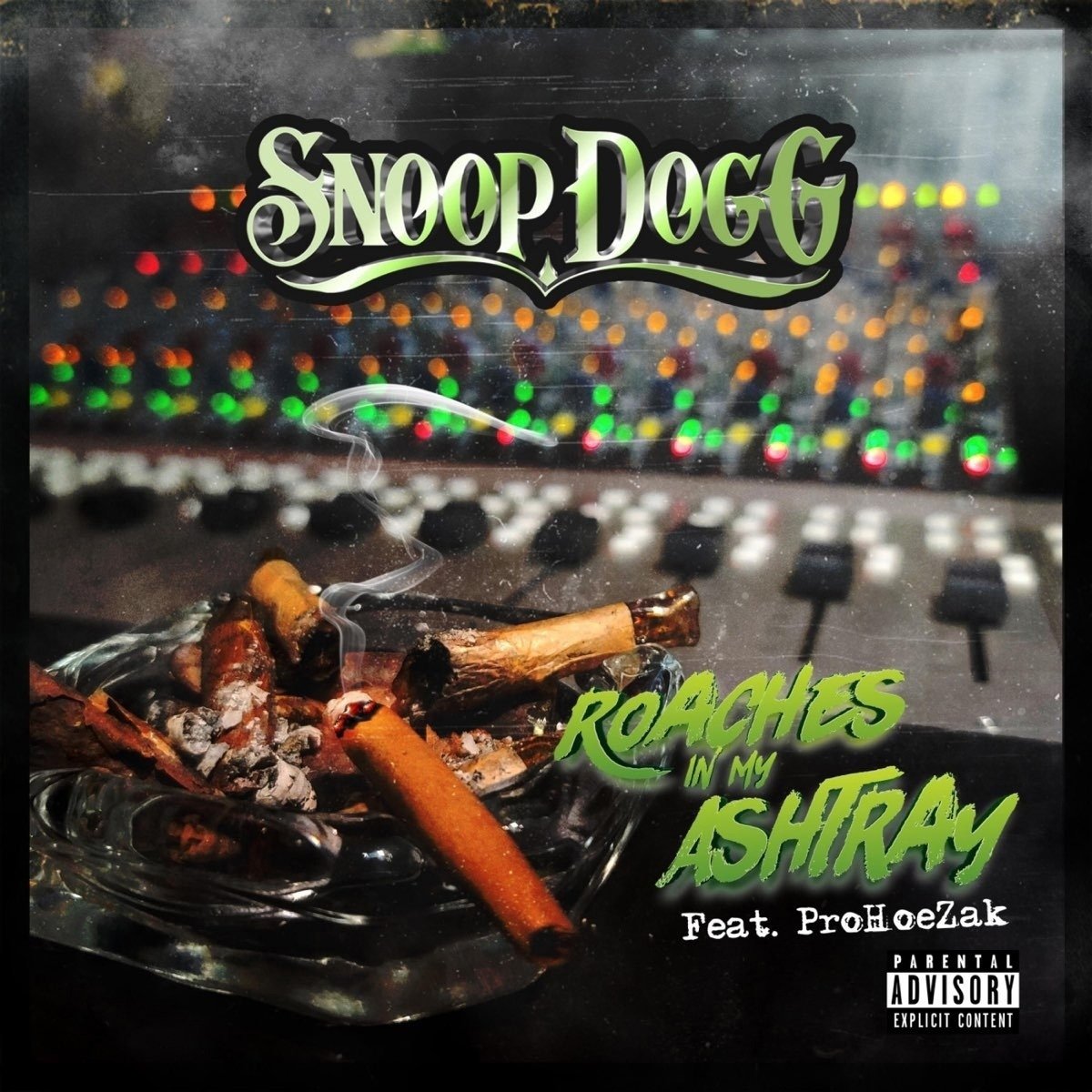 Snoop Dogg - Roaches In My Ashtray (feat. ProHoeZak)