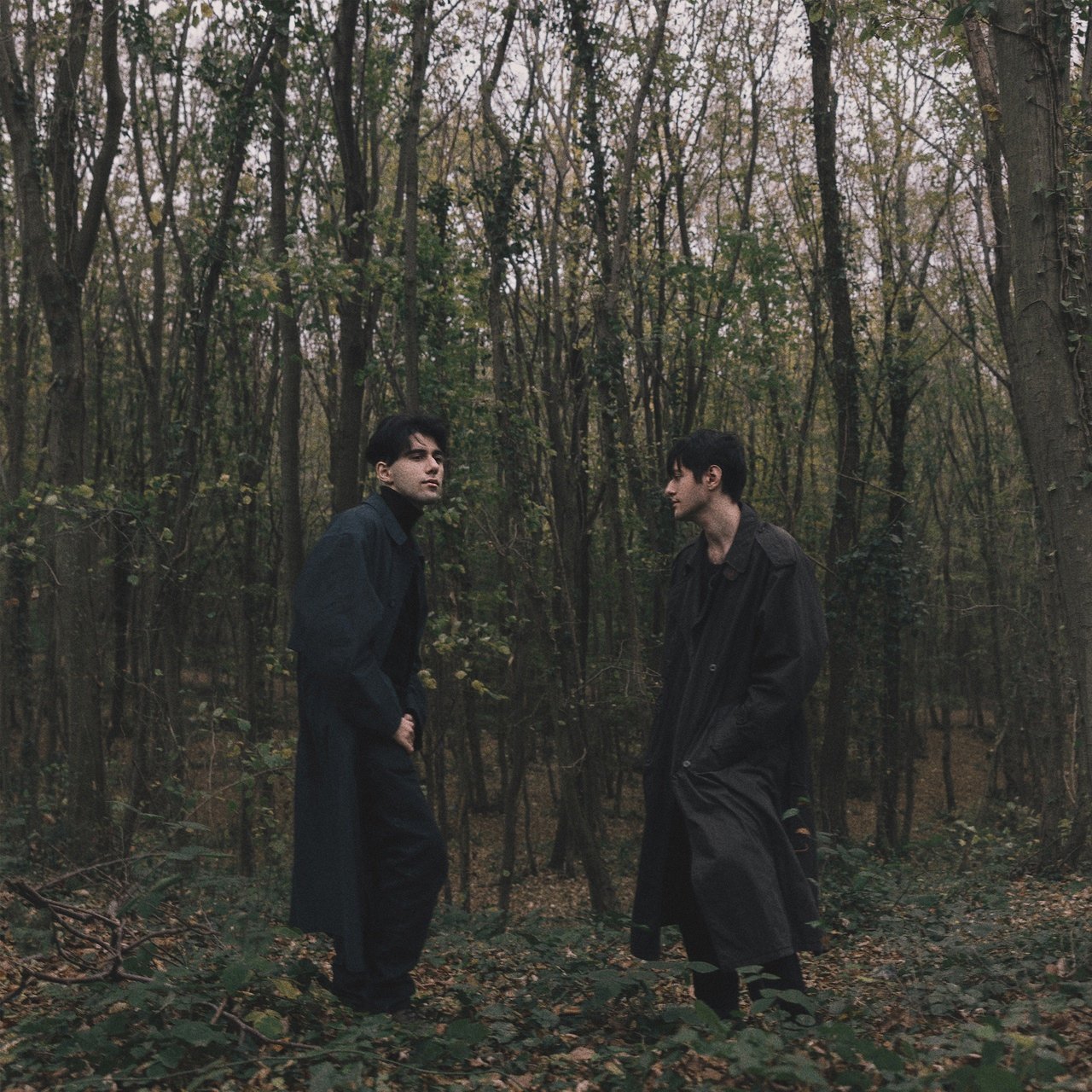 Rauf & Faik - Animal