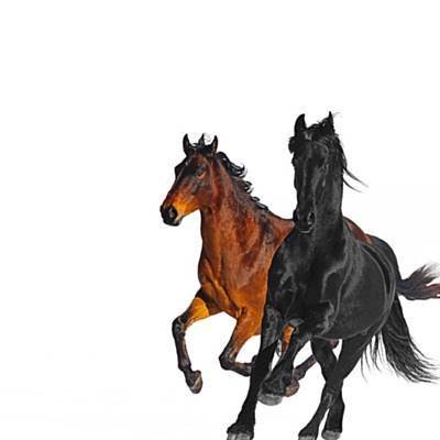 Lil Nas X & Billy Ray Cyrus - Old Town Road (Remix)