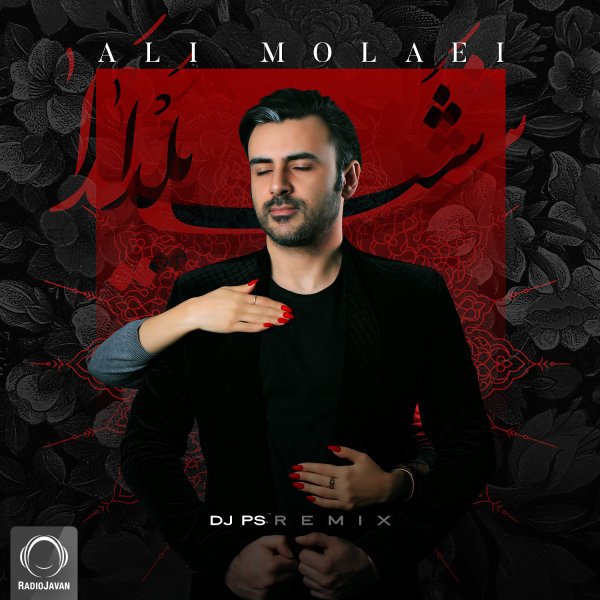 Ali Molaei - Shabe Yalda (DJ PS Remix)
