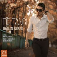 Ramin Bibak - Deltangi