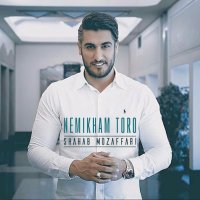 Shahab Mozaffari - Nemikham Toro