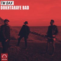 TM Bax - Dokhtaraye Bad