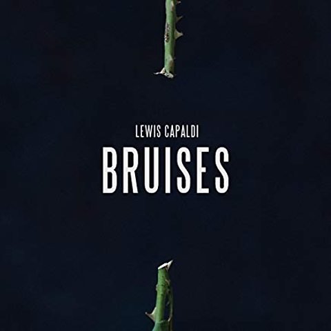 Lewis Capaldi - Bruises