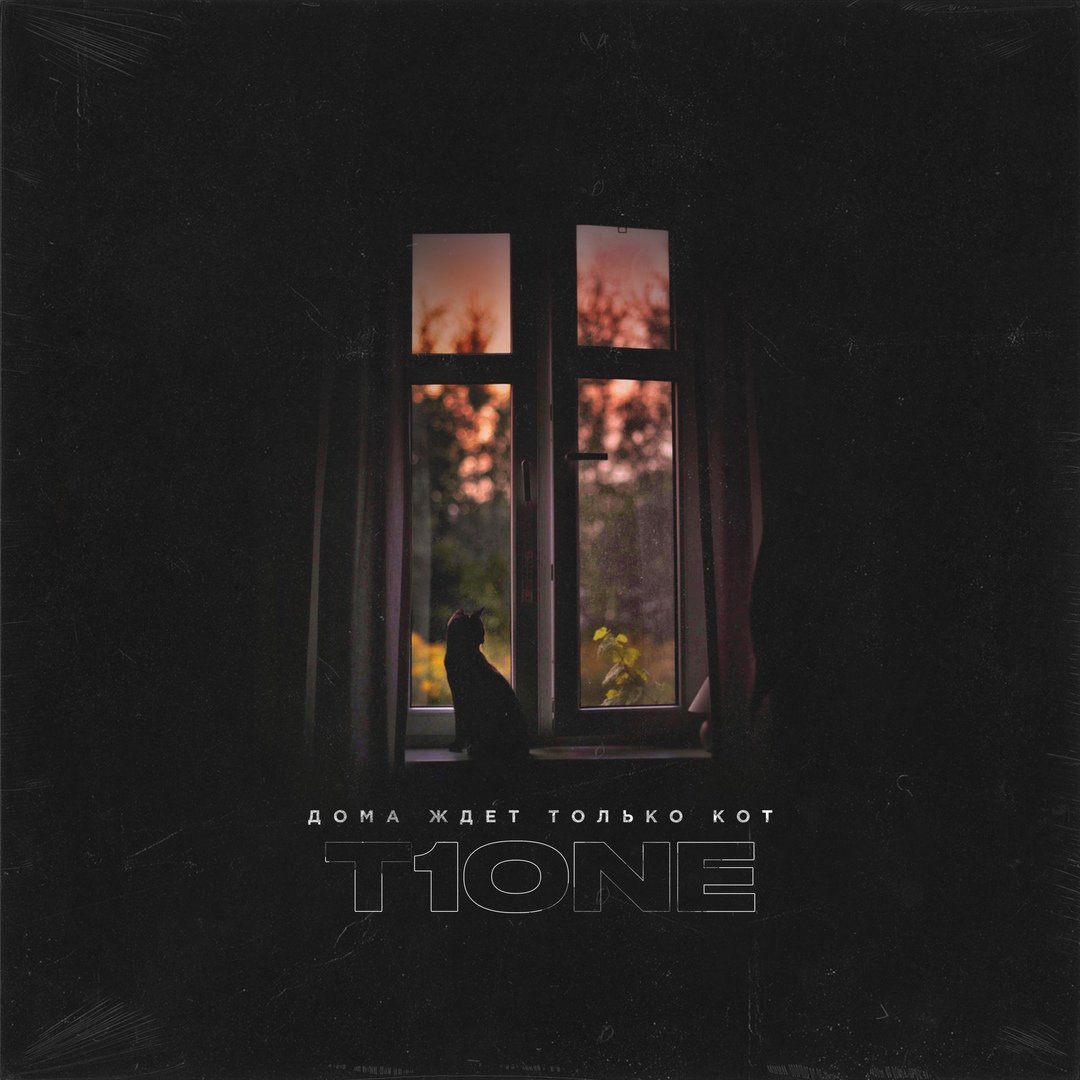 T1one - Дома ждёт только кот